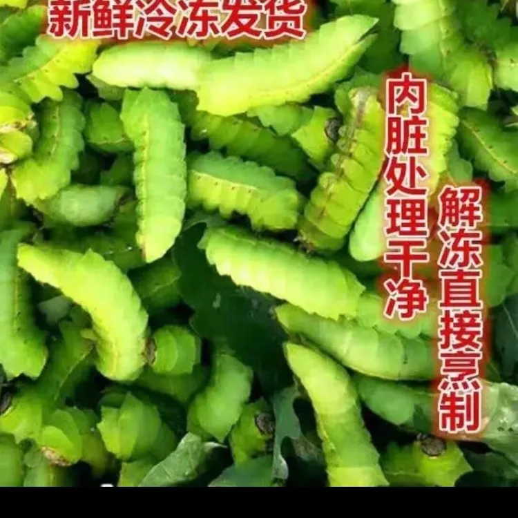 东北新鲜大青虫发货 去内脏