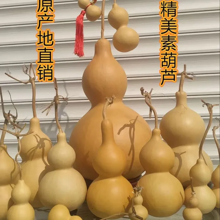 精品天然文玩葫芦挂件五帝钱家居门口电脑桌摆件可客厅门口手把件