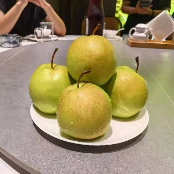 晋美人玉露香梨5斤装脆甜无渣现摘现发新鲜应季顺丰包邮