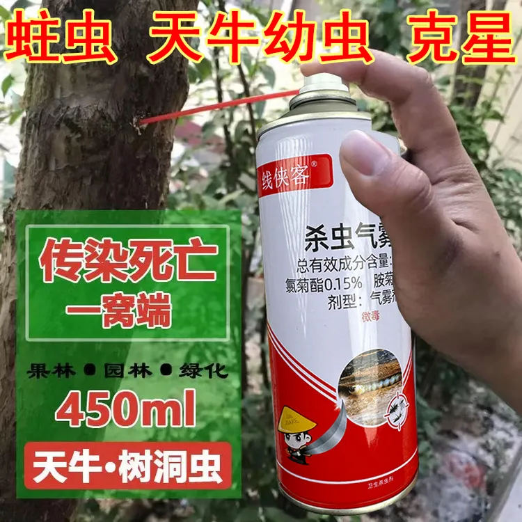 天牛果树幼虫钻心虫果树树洞园林杀虫剂天牛幼虫专用