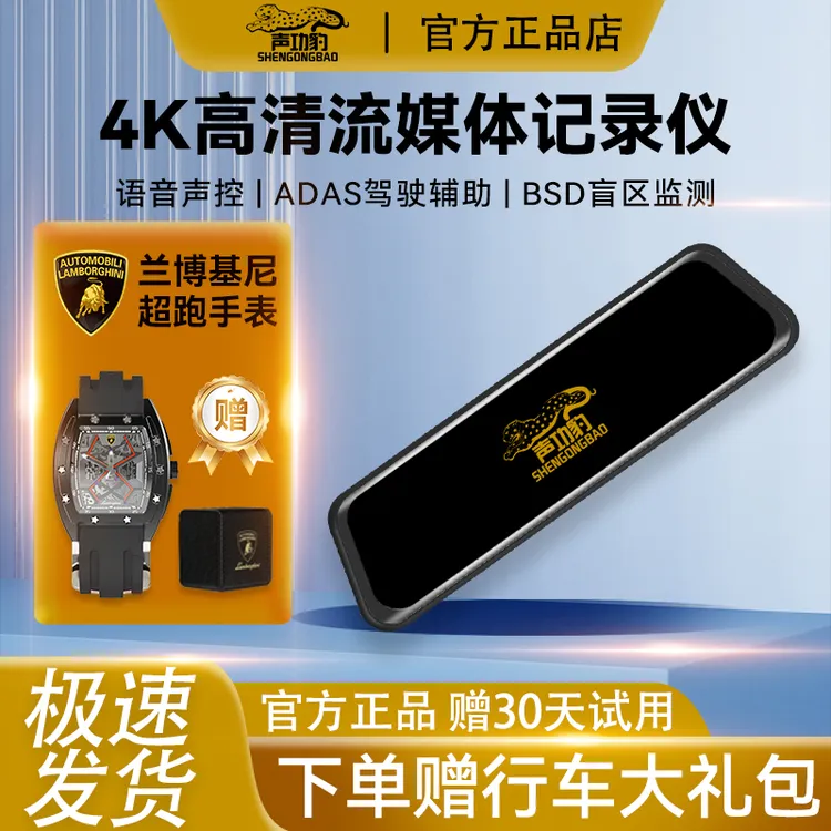 【ADADS+盲区监测】10寸全屏流媒体ADADS驾辅BSD记录仪前后双录
