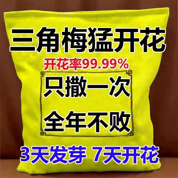 【快速开花粉】三角梅催花素花茉莉盆栽通用型园艺养花家用其他肥料