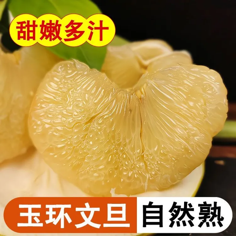 正宗浙江玉环文旦老树白心蜜柚产地直发孕妇水果甘甜多汁