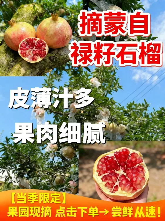 云南蒙自禄籽石榴晚熟珍品皮薄肉嫩甜度适中可食率超高视频榴莲蜜