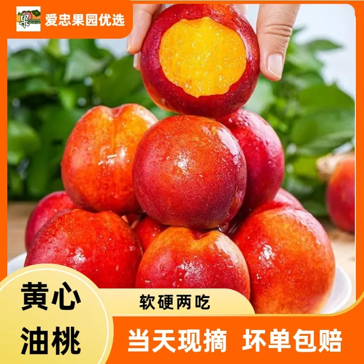 正宗山西黄肉油桃新鲜现摘应季水果家庭装新鲜水果桃子整箱包邮
