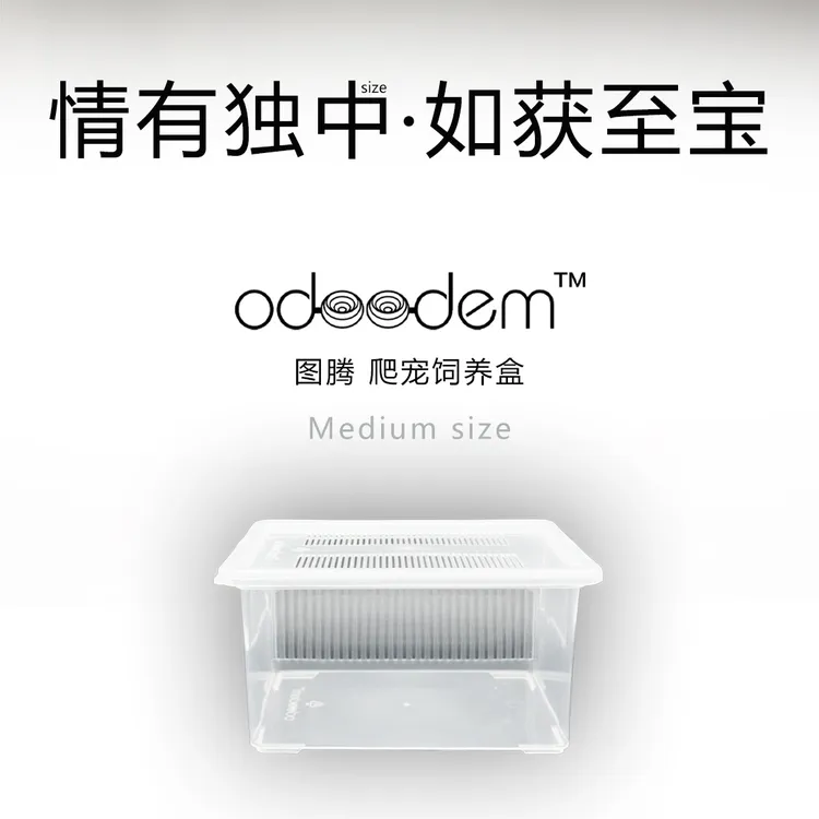 图腾Odoodem爬宠饲养盒中号通风高透睫角巨人盖勾亚守宫饲养盒