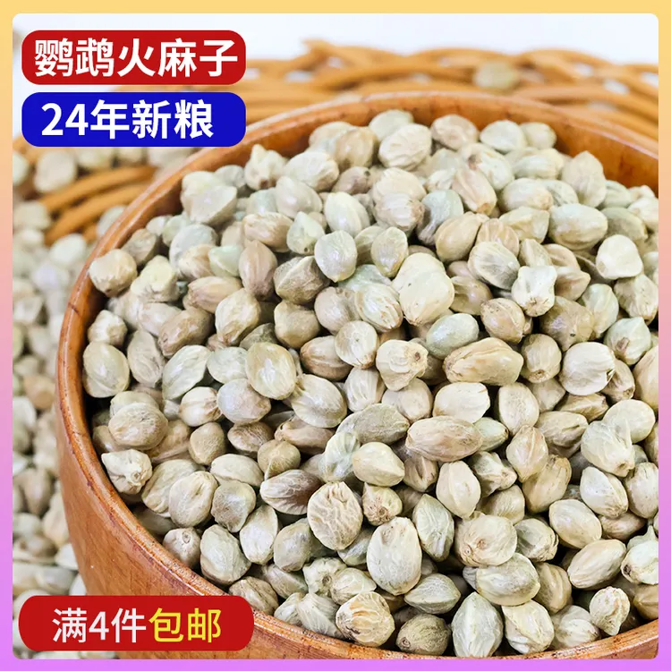 鹦鹉大颗粒火麻子油性饲料牡丹玄凤虎皮专用粮食大全鸟类鹦鹉鸟粮