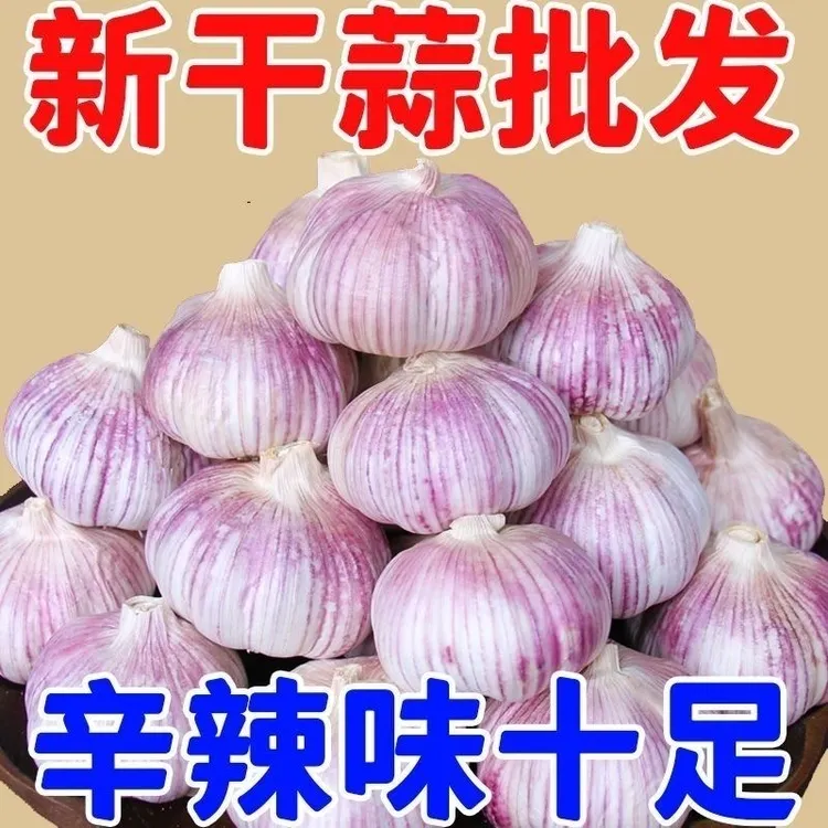【25年新晒干蒜】新紫皮干蒜大蒜头批发5斤河南紫皮大蒜干蒜5斤