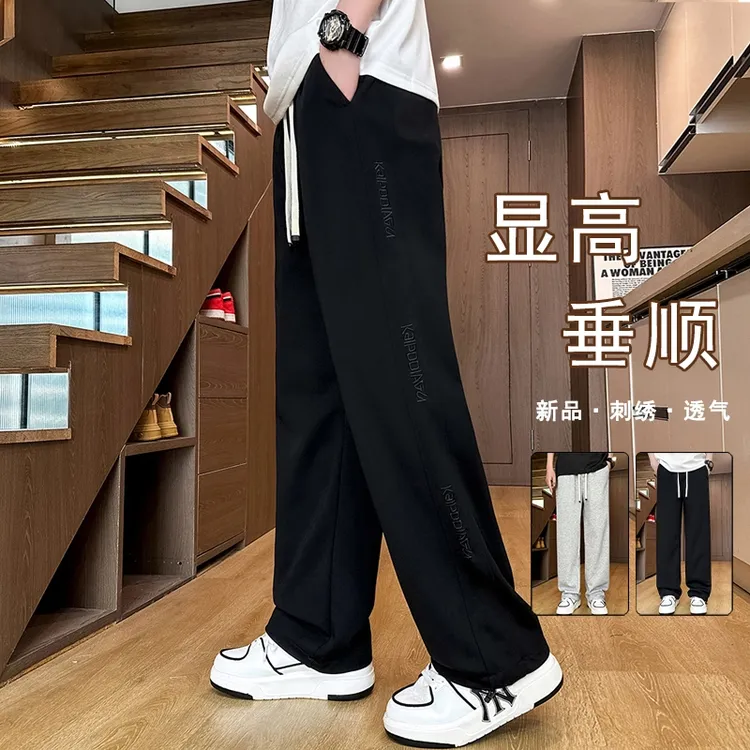 2025秋冬新款男士休闲裤韩版时尚潮流学院风百搭学生宽松直筒长裤