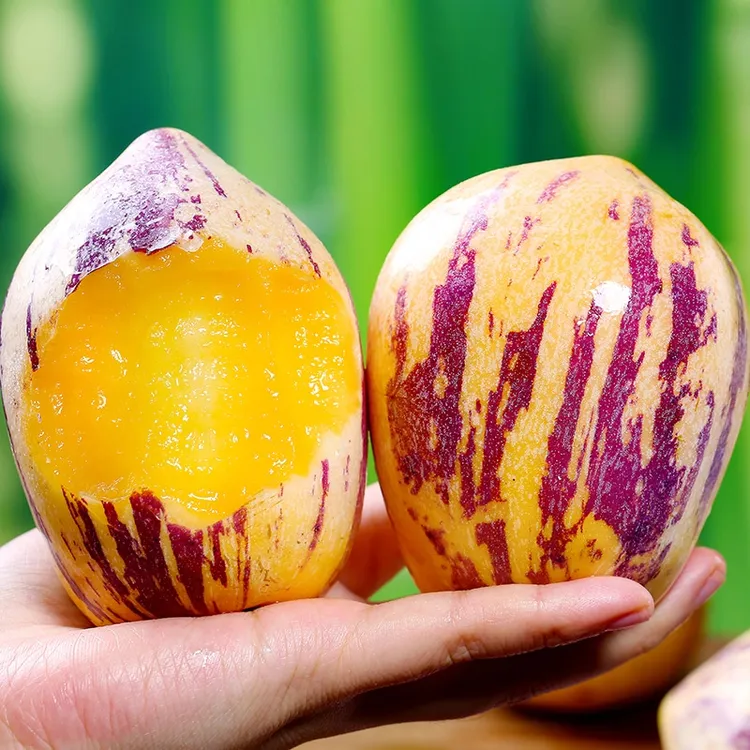 【顺丰】甘肃民勤沙漠人参果树熟黄果3/5/8斤新鲜低糖水果生鲜食品