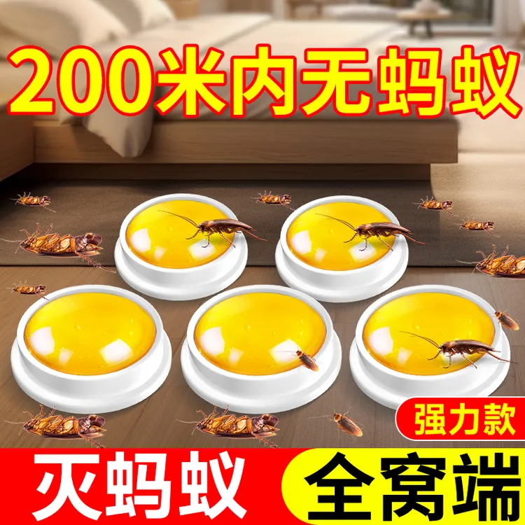 蟑螂药蚂蚁药一窝全端家用非无毒强力杀虫剂下水道小飞虫灭杀神器