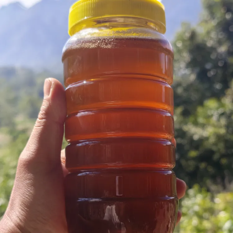 广西土蜂蜜 中蜂蜜 纯正天然龙眼蜜 2025年桂圆蜜 深山土蜂蜜