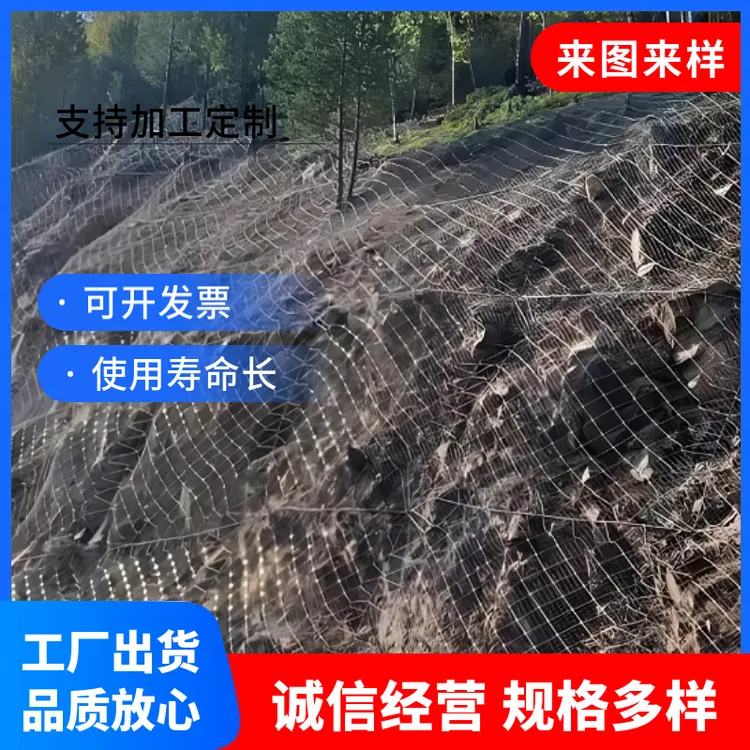 国标主动防护网山体滑坡边坡加固柔性防护网主动边坡防护网