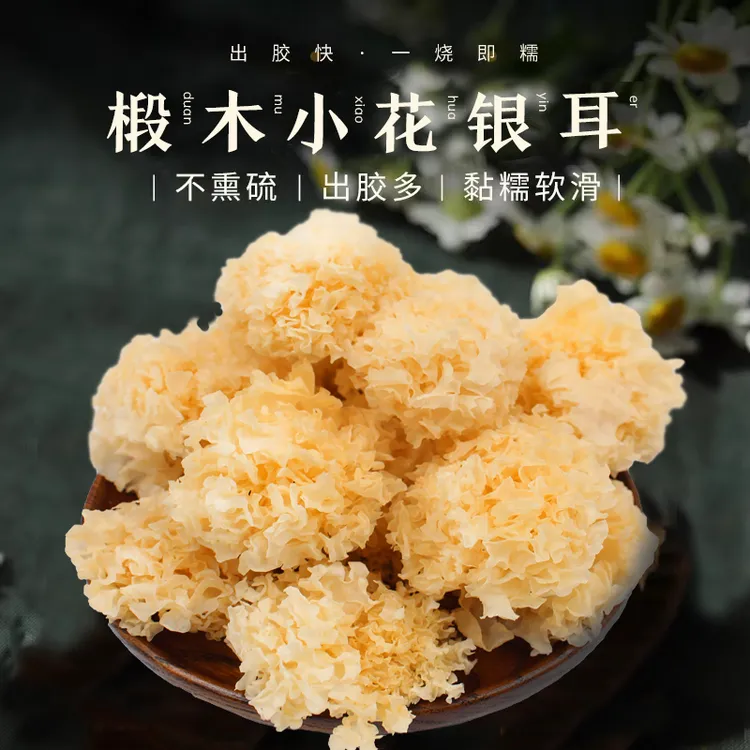 长白山椴木小银耳干货野外生白木耳无硫丑耳出胶糯雪耳莲子羹