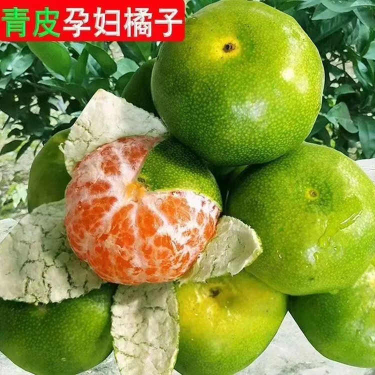 柑子李家河蜜橘宣恩李家河特产蜜橘新鲜现摘