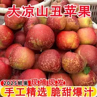四川大凉山冰糖心丑苹果新鲜现摘脆甜多汁当季水果