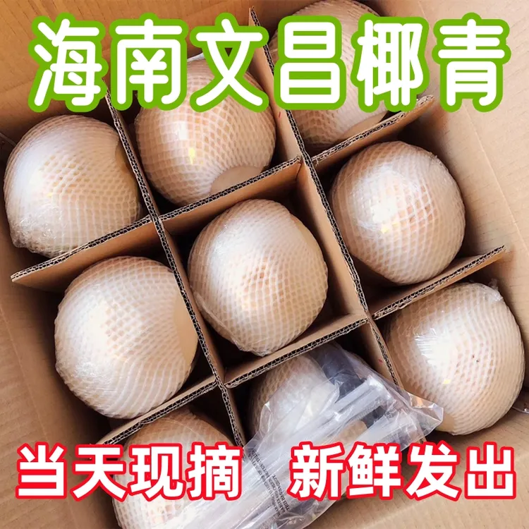 【椰青大果】AD海南新鲜椰子9个装孕妇水果文昌椰汁水去皮椰子