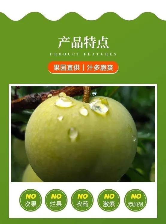 重庆青脆李正宗甜脆多汁应季新鲜水果