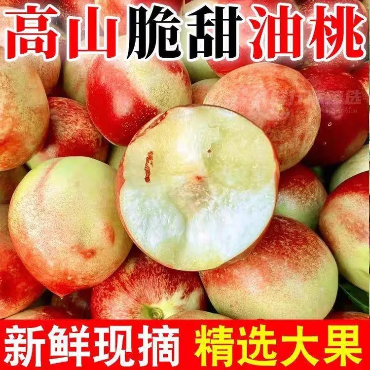 【顺丰包邮】现摘现发黄心油桃新鲜当季水果孕妇适用脆甜可口
