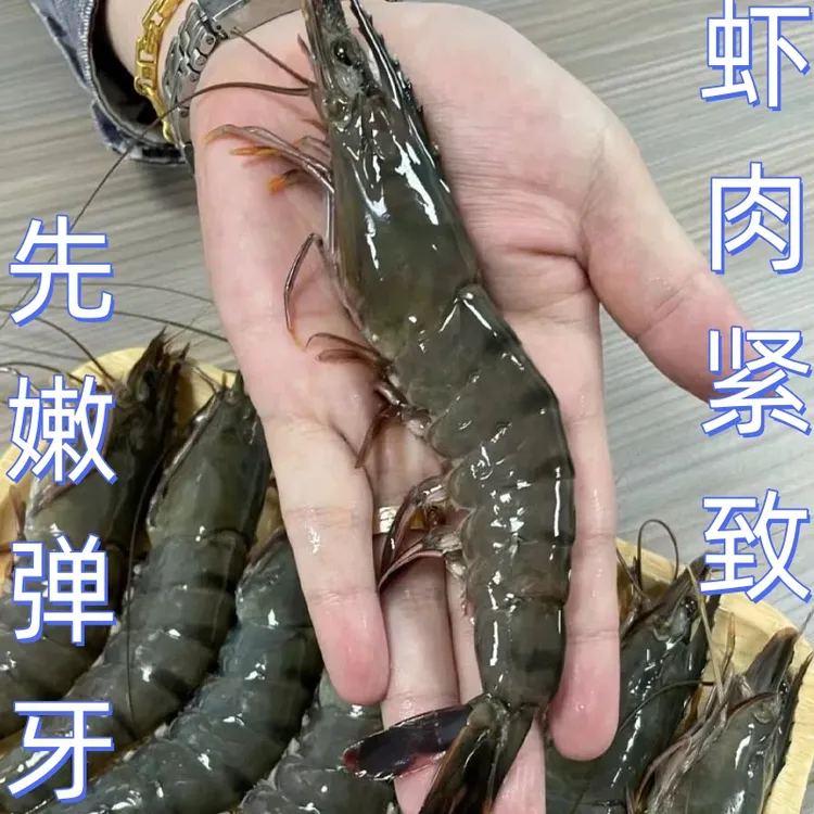 黑虎虾新鲜大虾鲜活超大老虎虾冷冻特大基围虾斑节九节虾海鲜速冻