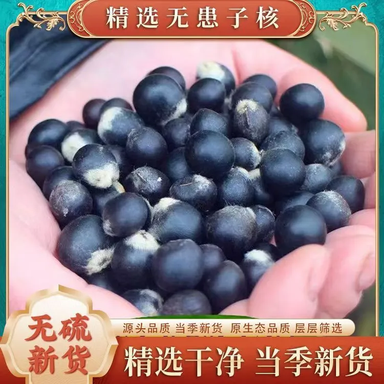 中药材无患子核去皮果核不含果皮野生手串手链佛珠菩提原料木患子