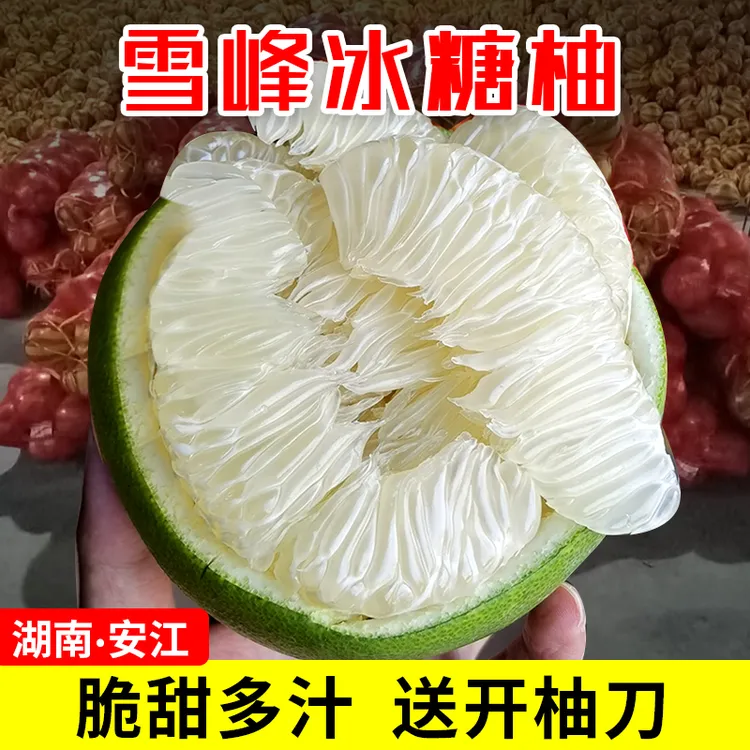 正宗安江雪峰冰糖柚湖南怀化小苦柚金兰柚老树小柚子水果井冈蜜柚