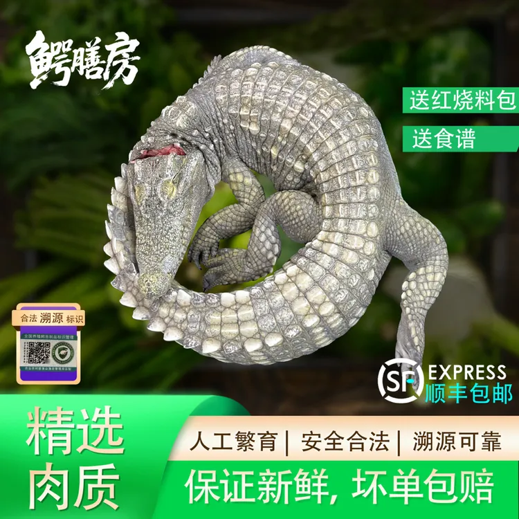 新鲜现杀整条鳄鱼 人工养殖带皮鳄鱼肉 