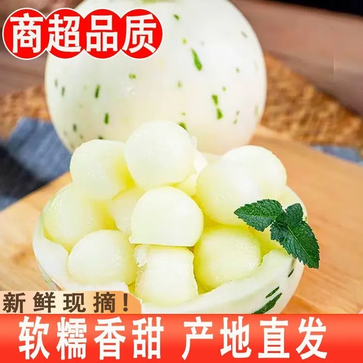 山东新鲜应季水果蜜露爆甜蜜瓜香甜脆嫩冰淇凌口感哈密瓜香瓜甜瓜