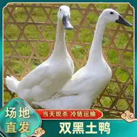 【破冰专属】农家放养双黑土鸭 单只净重2.7-3斤/只 净膛无舌