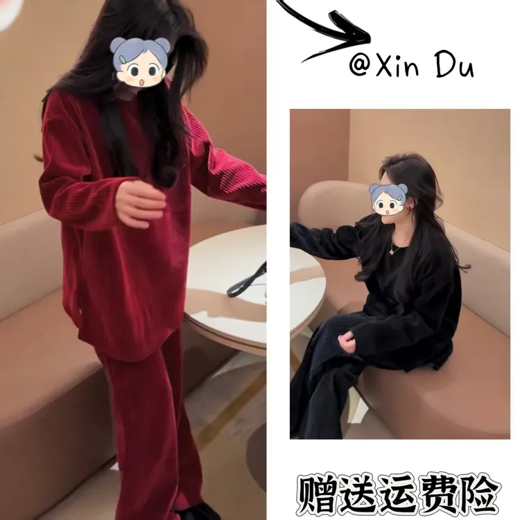 2025秋冬季新款时尚显瘦气质女士网红洋气两件套百搭款D25436