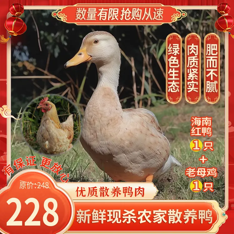海南红鸭1只+老母鸡1只