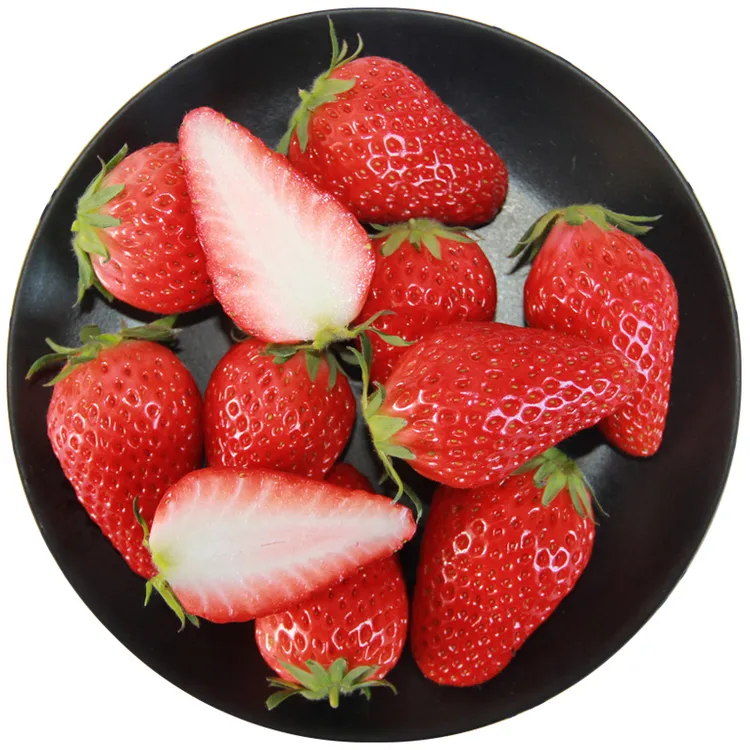 【顺丰】山东香野草莓隋珠草莓现摘现发香甜可口2-3斤装新鲜水果