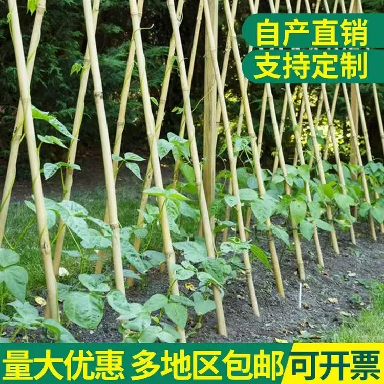 2米豆角架围栏杆黄瓜架菜园爬藤架蔬菜架果树支撑旗杆栅栏篱笆