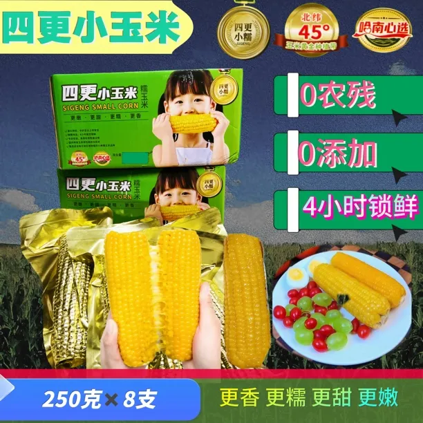 四更小玉米新玉米东北糯玉米黄糯玉米单只250克哈尔滨特产小玉米四更小玉米
