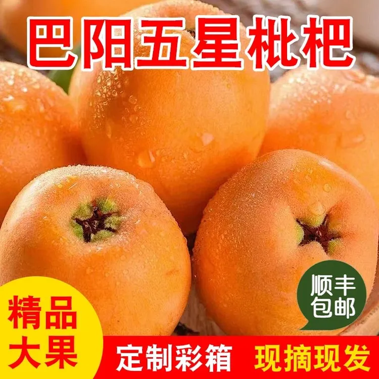 重庆云阳 巴阳五星枇杷 应季鲜果现摘现发