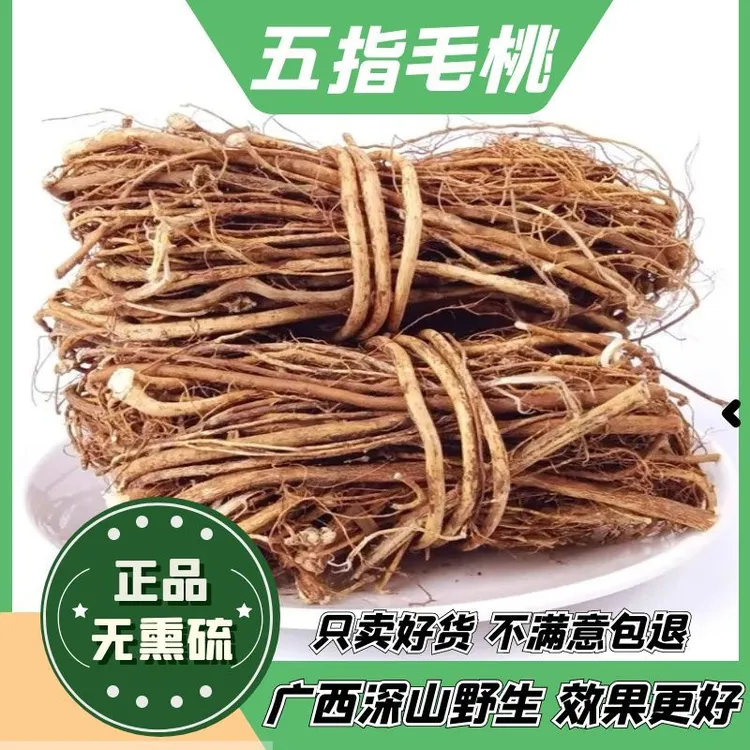 广西野生【五指毛桃】扎把50g干货五指毛桃麦冬牛奶根茯苓煲汤材料