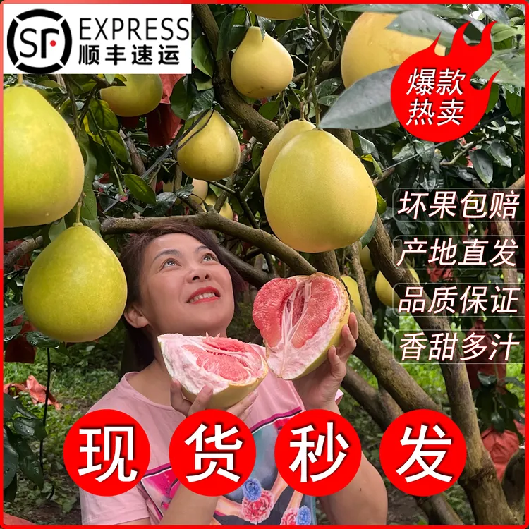 【顺丰/礼盒】正宗梅州新鲜红心蜜柚高山老树果香甜多汁当季水果