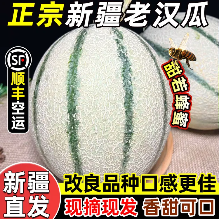 【顺丰空运】新疆直发 老汉瓜冰雪皇后 新品种香甜多汁 当季哈密瓜