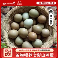 雀淘 正宗七彩山鸡蛋 宝宝辅食 农家杂粮鸡蛋