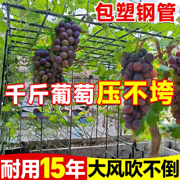 葡萄架子庭院户外葫芦爬藤架丝瓜百香果爬藤支架室外植物支撑杆网