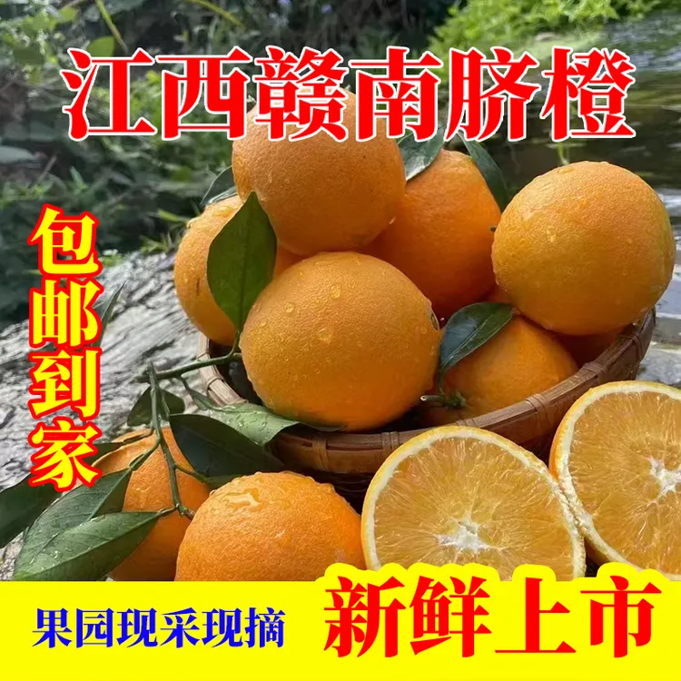 江西赣南脐橙发货五斤包邮