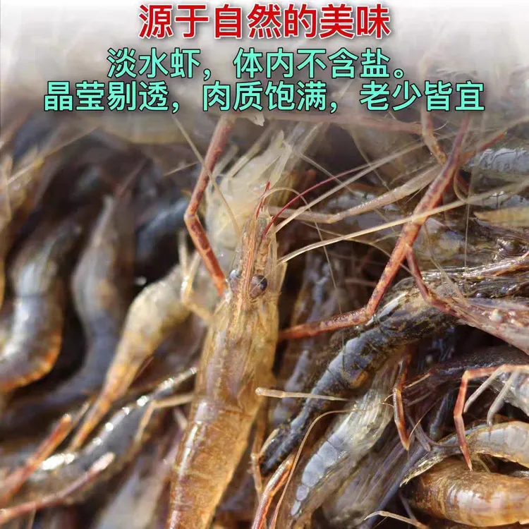 微山湖清水河虾鲜活锁鲜冰鲜发货包邮到家