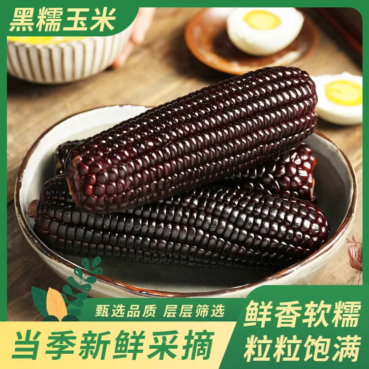 【头茬黑糯玉米】真空包装200克以上10支新鲜软糯香甜粗粮早餐