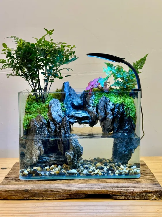 『水帘洞』生态桌面流水景观成品客厅造景办公小型水陆苔藓绿植