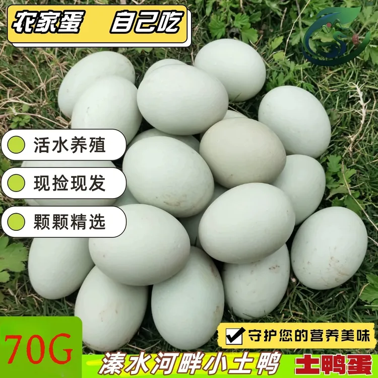 新鲜鸭蛋生鸭蛋农家散养水养活水青壳青皮生鲜大蛋现捡现发土鸭蛋