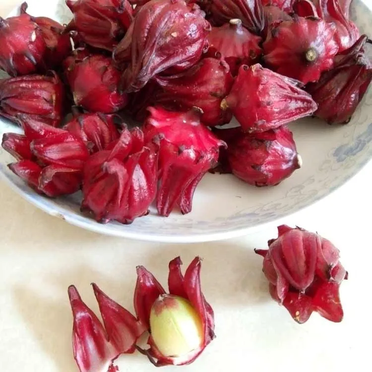 新鲜花果洛神花玫瑰花红桃花k玫瑰加现摘发货洛神花果玫瑰花果