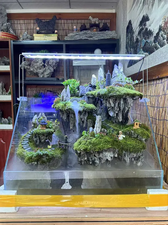 定制版60-40-40/16生态水陆缸