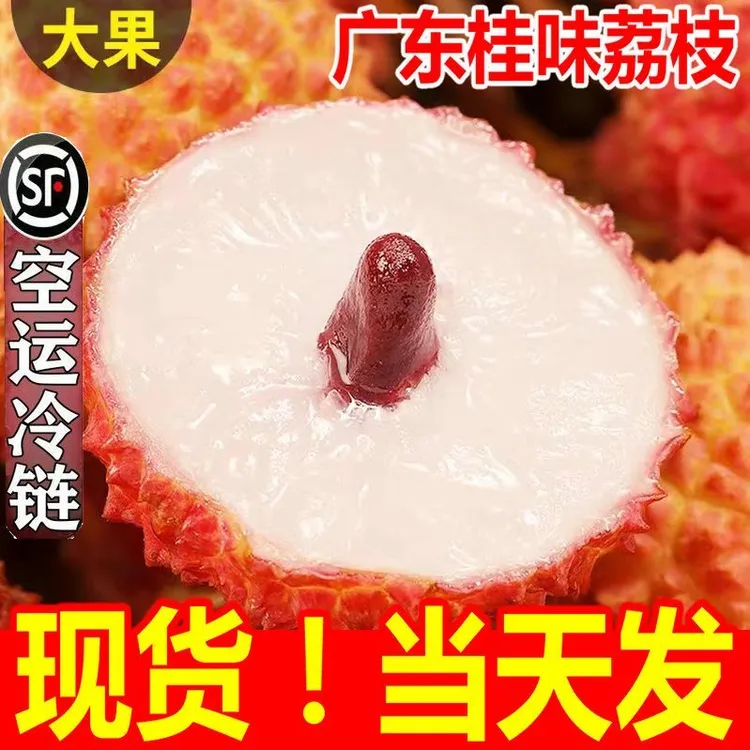 2025广东桂味荔枝现摘新鲜水果白糖罂糯米糍当季整箱茂名