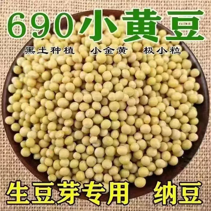 2025年新粮东农690小粒发芽黄豆做纳豆专用原产地发货