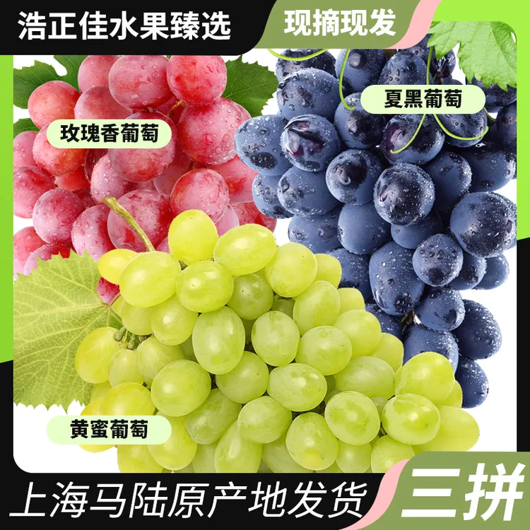 马陆葡萄玫瑰香黄蜜巨峰三拼装 现采现发 上海地区拍 包邮